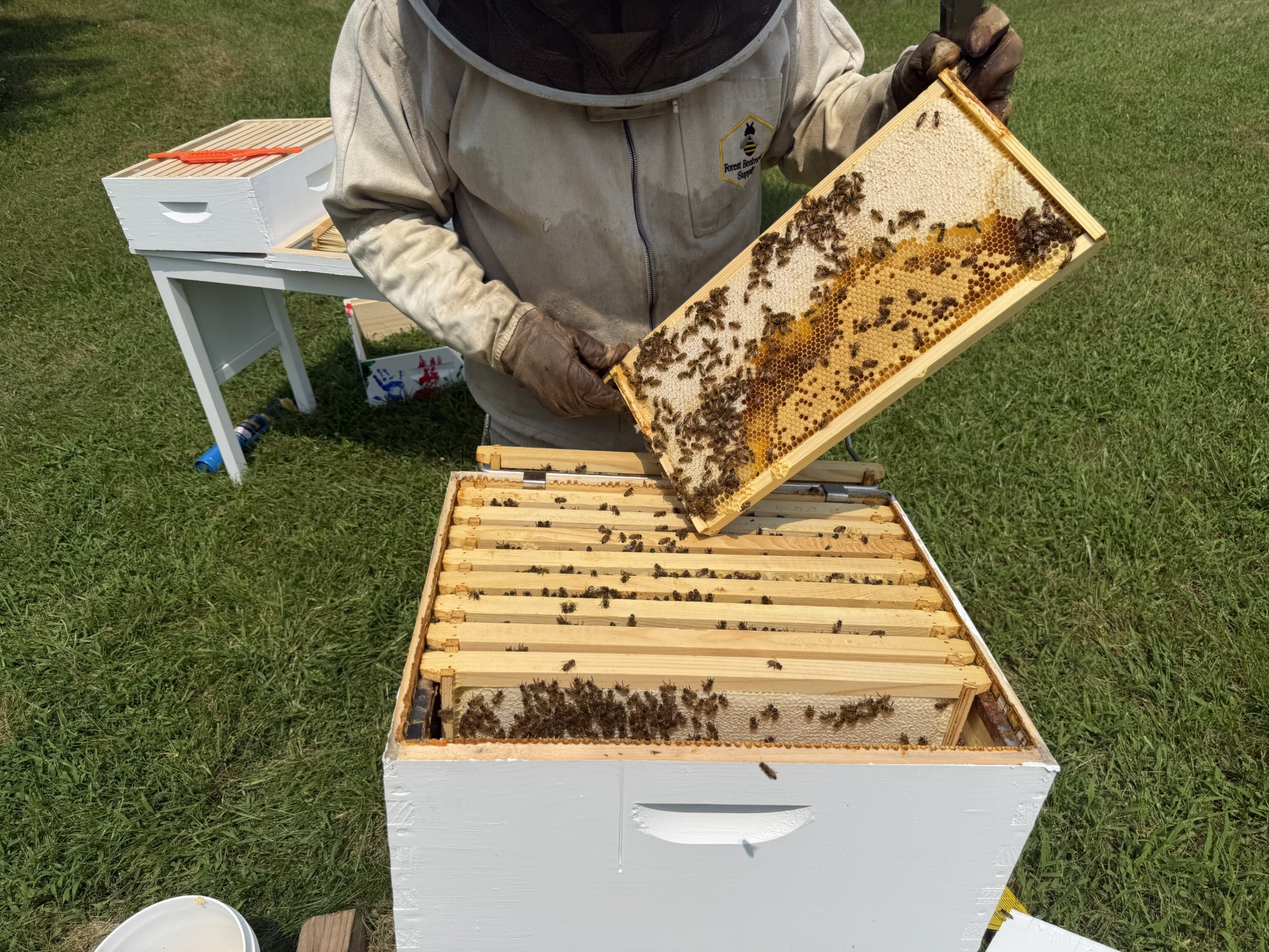 This is us working in the swarm hive.