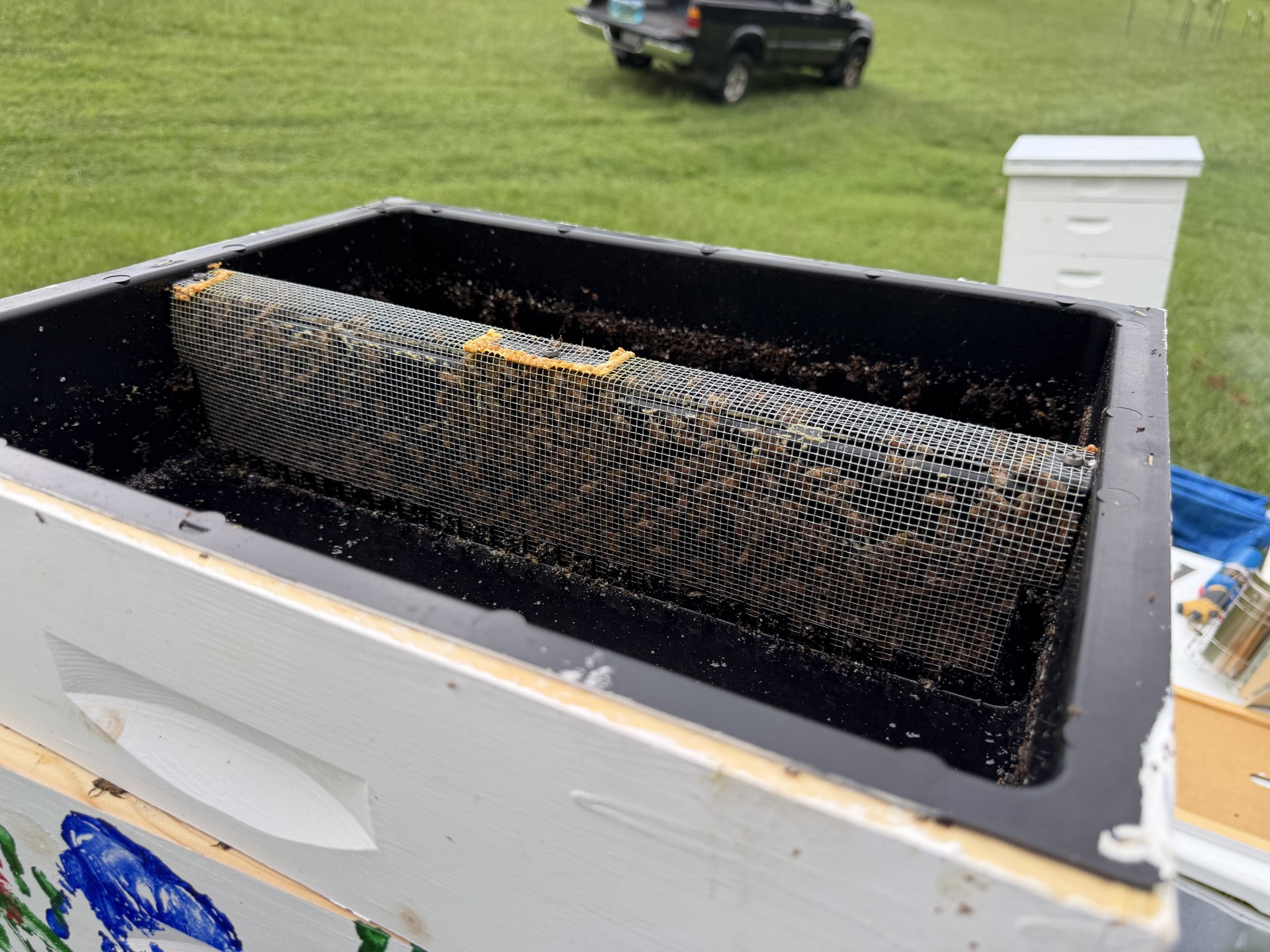 This is the Pops hive. It is painted with hand prints.